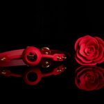 12949foto_add-38494_1