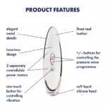 Satisfyer-pret-a-porter-airpulse-features-english_600x600